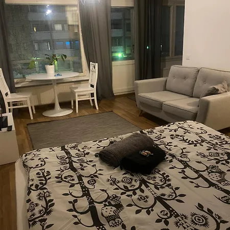 Niinivaaran Tilava Ja Valoisa Yksioe 2