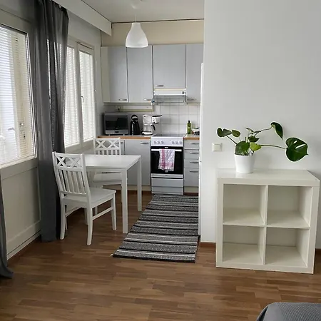 Apartamento Niinivaaran Tilava Ja Valoisa Yksioe 2 Joensuu