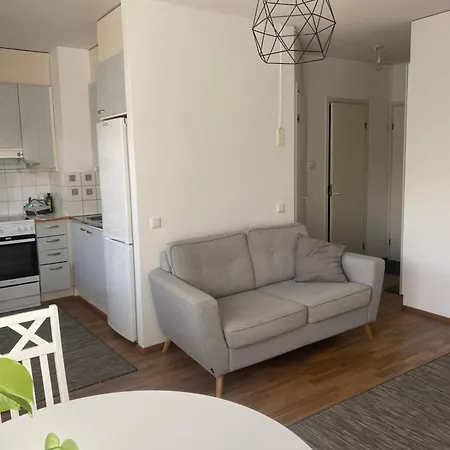 Niinivaaran Tilava Ja Valoisa Yksioe 2