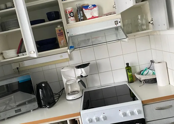 Niinivaaran Tilava Ja Valoisa Yksioe 2 * ヨエンスー