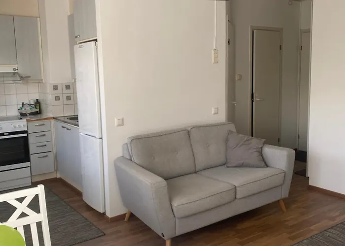 Niinivaaran Tilava Ja Valoisa Yksioe 2