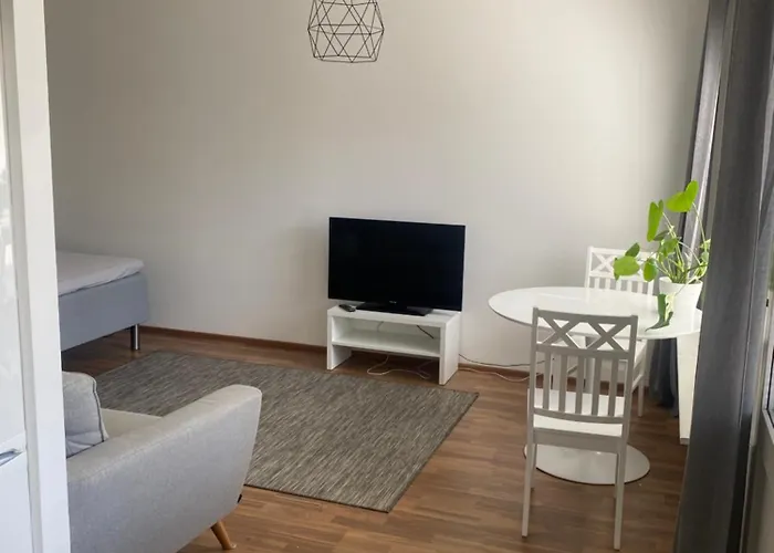 Niinivaaran Tilava Ja Valoisa Yksioe 2 アパート *